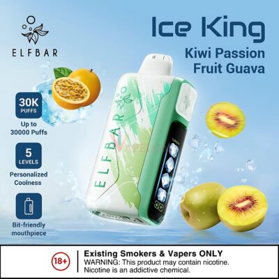 elfbar Ice King 30000