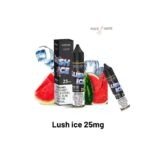 VGOD SALTNIC E LIQUID LUSH ICE IN DUBAI UAE - Image 2