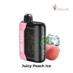 Geek Bar Pulse X 25000 Puffs
