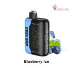 Geek Bar Pulse X 25000 Puffs