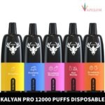 KALYAN Pro 12000 Puffs 50MG Disposable Vape