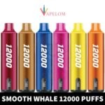 SMOOTH Whale Disposable 2% & 5% 12000 Puffs Rechargeable Vape in Dubai, UAE