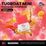 Tugboat Mini 2000 Puffs 20MG Nicotine None Rechargeable - Image 16